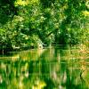 Riserva Naturale Regionale Orientata Fiume Ciane e Saline di Siracusa