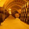 Marsala, la città del vino