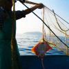 Pescaturismo: fonte di reddito e di turismo